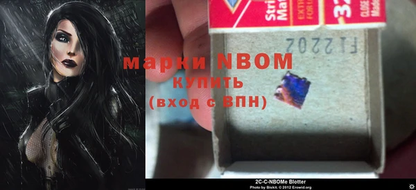 ГАЛЛЮЦИНОГЕННЫЕ ГРИБЫ Белокуриха