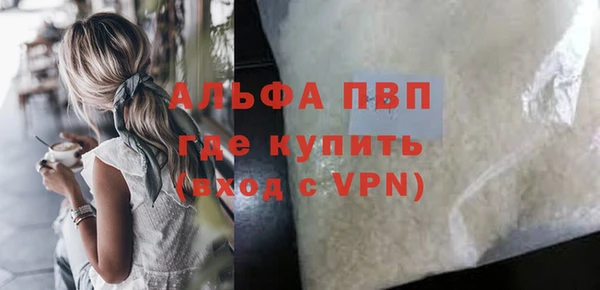 ГАЛЛЮЦИНОГЕННЫЕ ГРИБЫ Белокуриха