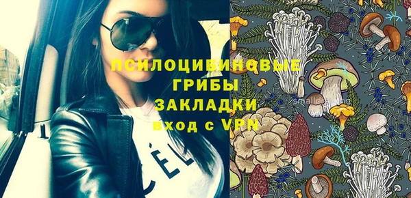 ГАЛЛЮЦИНОГЕННЫЕ ГРИБЫ Белокуриха