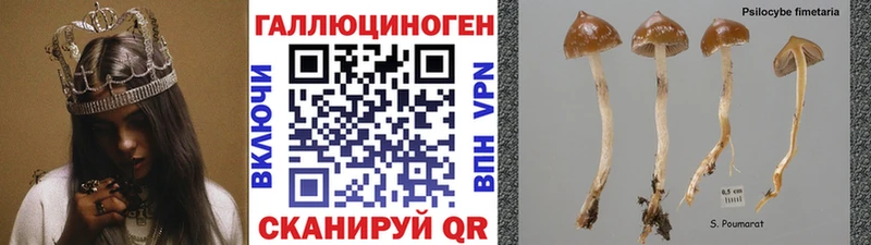Галлюциногенные грибы мухоморы omg как зайти Наволоки