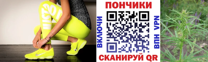 Канабис индика  купить наркотик  Наволоки 